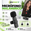 Dual Wireless Microphone